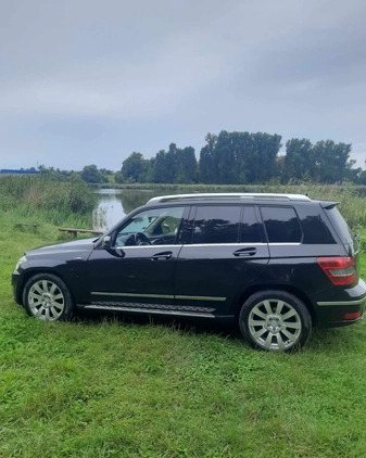 Mercedes-Benz GLK cena 59900 przebieg: 252000, rok produkcji 2010 z Gniezno małe 121